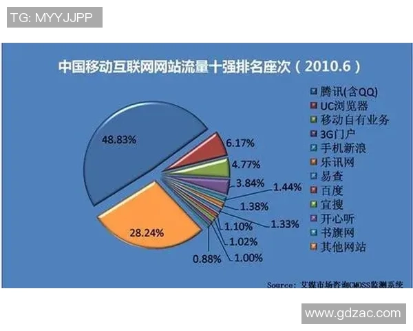 北京排球队战术解析与大满贯赛事表现的深度点评